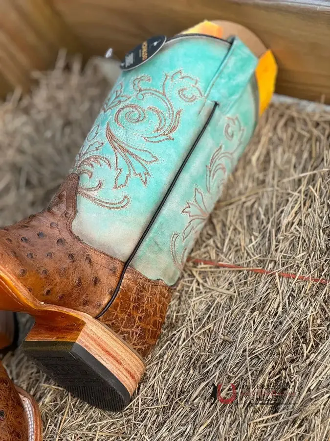 CORRAL HONEY DISTRESSED BLUE OSTRICH EMBROIDERED B5006