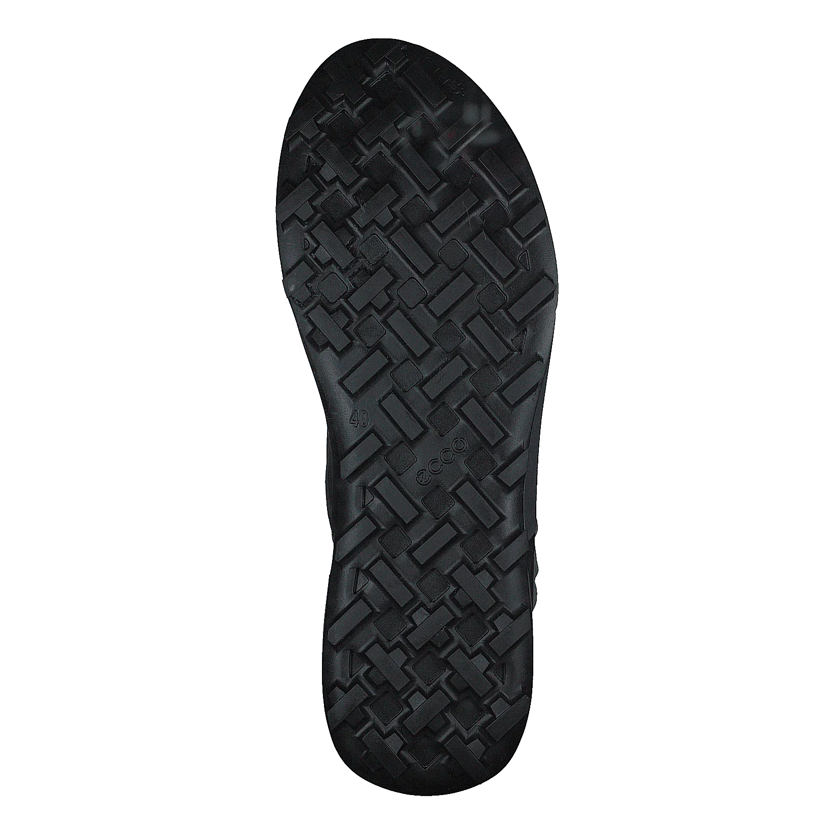 Ecco Biom 2.1 X Mountain W Black/steel